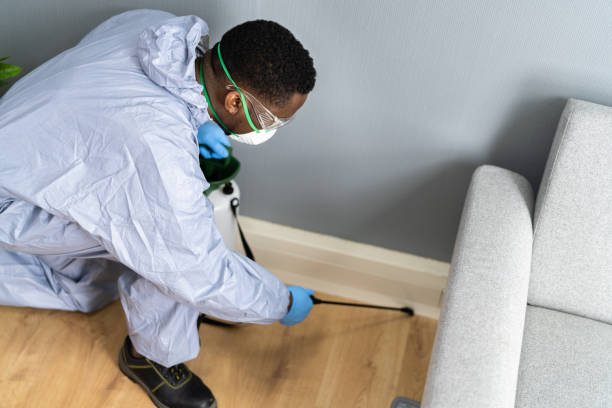 Best Fumigation Services  in , VA